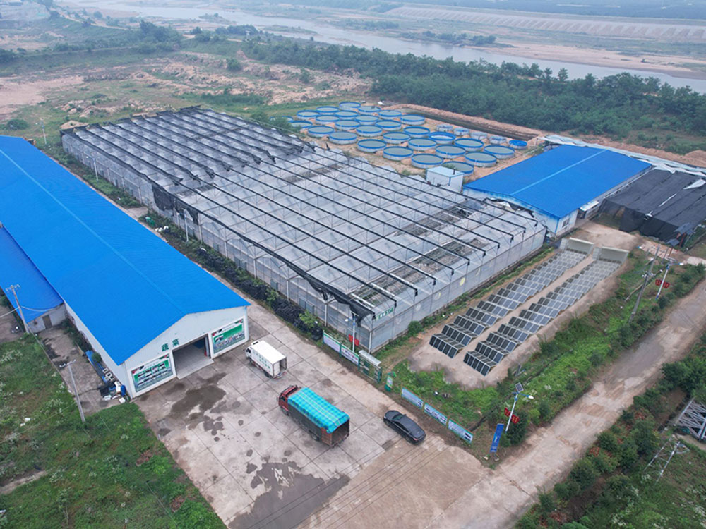 Solar Power Containers for Önálló tápegység